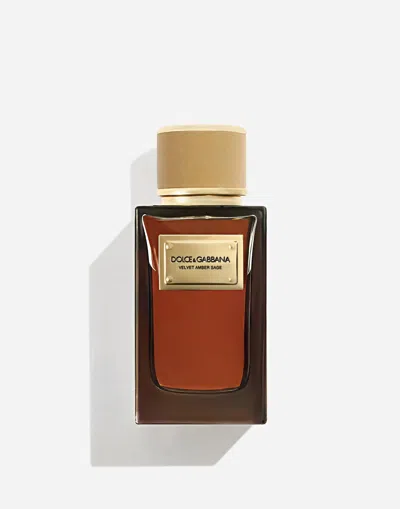 Dolce & Gabbana Velvet Amber Sage Eau De Parfum In Brown