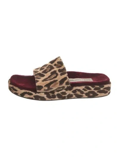 Pre-owned Dolce & Gabbana Velvet Animal Print Slides In Neutral
