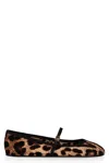 Dolce & Gabbana Printed Velvet Ballet Flats