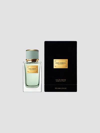 Dolce & Gabbana Velvet Infusion Eau De Parfum In Size 3.4-5.0 Oz.