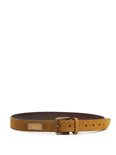 Dolce & Gabbana Velvet Logo Belt