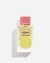 Dolce & Gabbana Velvet Rose In -