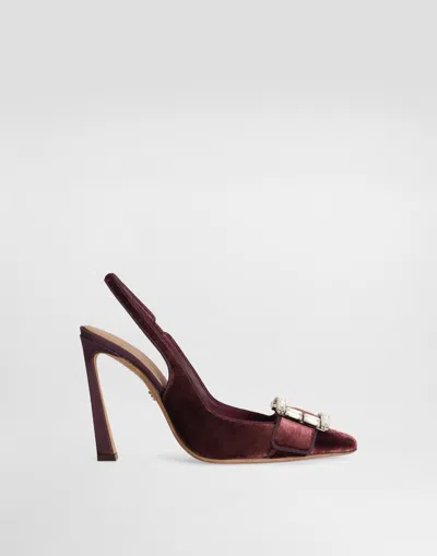 Dolce & Gabbana Velvet Slingbacks With Bejeweled Buckle In Bordeaux
