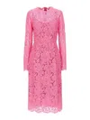Dolce & Gabbana Light Pink Lace Sheath Dress In Nude & Neutrals