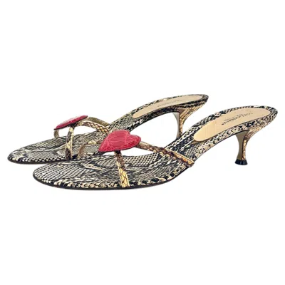 Pre-owned Dolce & Gabbana Vintage Ss2005 Python Heart Kitten Heel Slip On Mules Sandals 41 In Brown