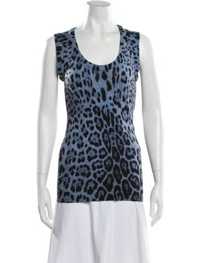 Pre-owned Dolce & Gabbana Virgin Wool Animal Print Sweater In Blue