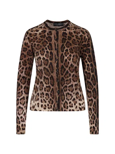 Dolce & Gabbana Virgin Wool Cardigan In Brown