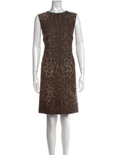 Pre-owned Dolce & Gabbana Virgin Wool Knee-length Dress W/ Tags In Brown