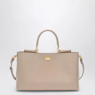 Dolce & Gabbana Vittoria Handbag In Flesh-coloured Leather In Neutral