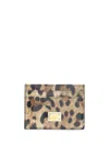 Dolce & Gabbana Card Holder In Brown
