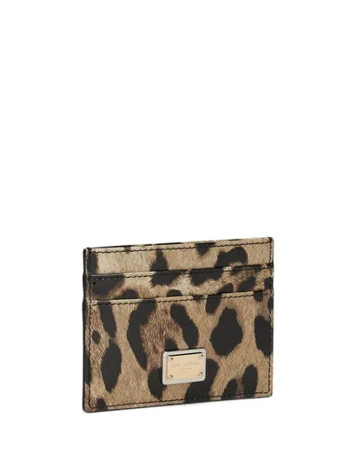 Dolce & Gabbana Brown Leopard Print Leather Card Holder In Animal Print