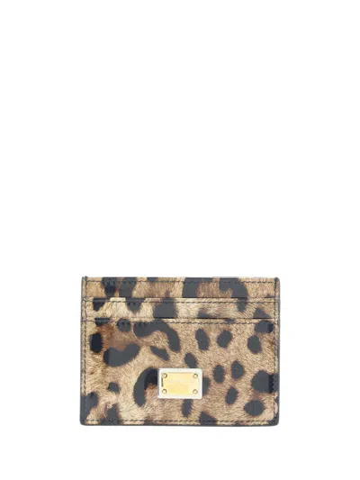 Dolce & Gabbana Wallet  Woman Color Savannah In Multicolor