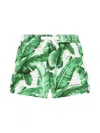 Dolce & Gabbana Leaf-print Cotton Shorts In White