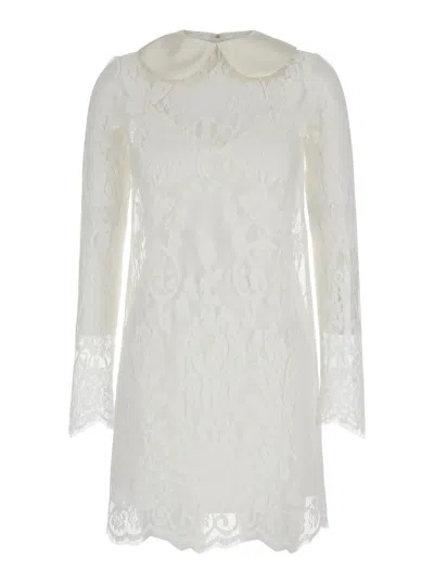 Dolce & Gabbana Lace Dress With Satin Collar Dresses White