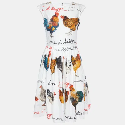 Pre-owned Dolce & Gabbana White Rooster Print Cotton A-line Dress S