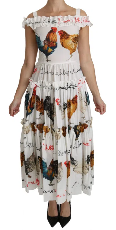 Dolce & Gabbana White Rooster Sheath Midi Cotton Women's Dress