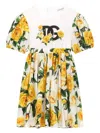 Dolce & Gabbana Rose-print Cotton Dress In Yellow