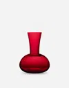 Dolce & Gabbana Wine Pitcher In Murano Glass In Multicolor