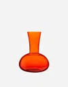 Dolce & Gabbana Wine Pitcher In Murano Glass In Multicolor