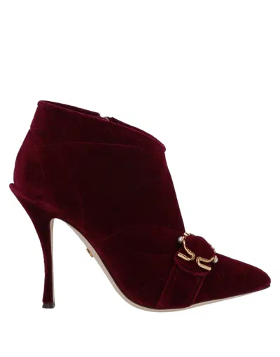 Dolce & Gabbana Woman Ankle Boots Burgundy Size 7 Cotton, Elastane In Red