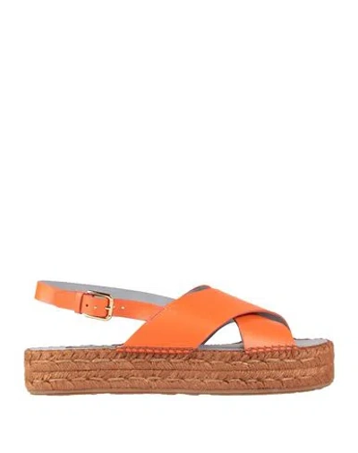 Dolce & Gabbana Woman Espadrilles Orange Size 8.5 Calfskin