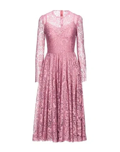 Dolce & Gabbana Woman Midi Dress Antique Rose Size 2 Viscose, Polyamide, Polyester In Pastel Pink