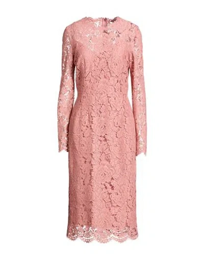 Dolce & Gabbana Woman Midi Dress Antique Rose Size 6 Viscose, Cotton, Polyamide In Pink
