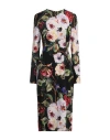 Dolce & Gabbana Dolce&gabbana Rose Print Sheath Dress In Silk In Multi