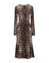 Dolce & Gabbana Leopard Print Long Sleeve Cady Midi Dress In Brown