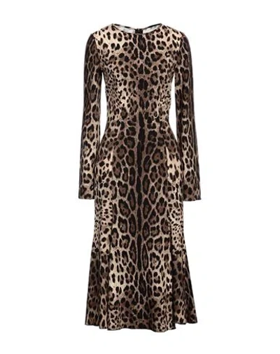 Dolce & Gabbana Woman Midi Dress Brown Size 6 Viscose, Elastane