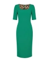 Dolce & Gabbana Minimalist Solid Knit Sweater In Green