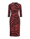 Dolce & Gabbana Zebra-print Jersey Midi Dress