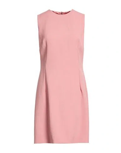 Dolce & Gabbana Woman Mini Dress Antique Rose Size 6 Virgin Wool In Pink