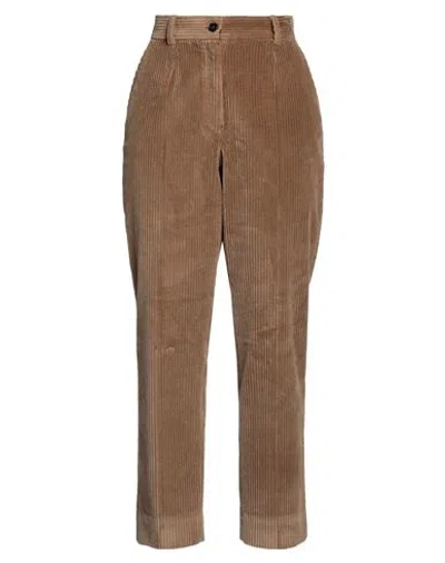 Dolce & Gabbana Woman Pants Brown Size 12 Cotton, Elastane