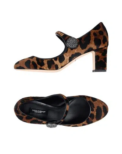 Dolce & Gabbana Woman Pumps Brown Size 6 Calfskin, Lambskin In Multi