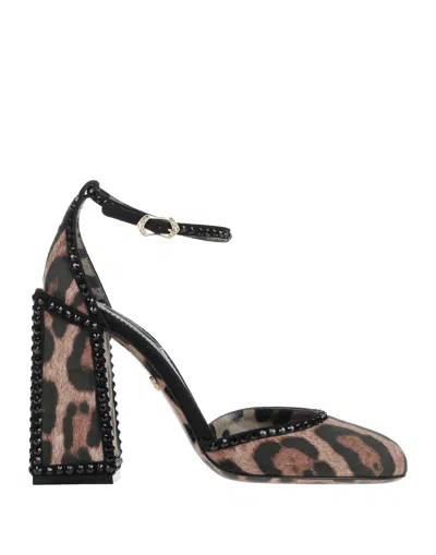 Dolce & Gabbana Pumps In Brown