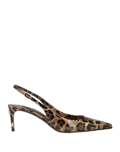 Dolce & Gabbana Woman Pumps Brown Size 6.5 Calfskin