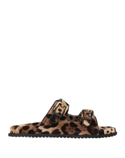 Dolce & Gabbana Woman Sandals Beige Size 7 Cotton, Lambskin, Elastane In Animal Print