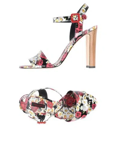 Dolce & Gabbana Woman Sandals Black Size 5 Calfskin