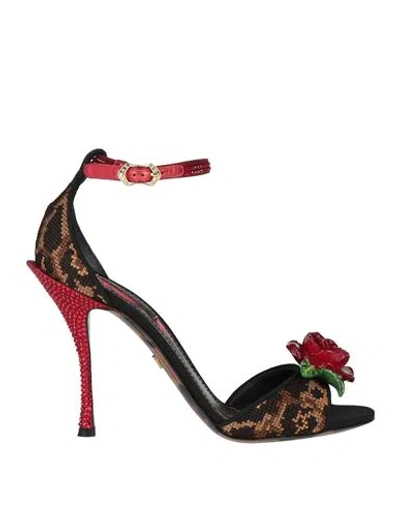 Dolce & Gabbana Woman Sandals Brown Size 7.5 Textile Fibers