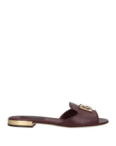 Dolce & Gabbana Woman Sandals Burgundy Size 7.5 Calfskin In Brown