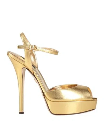 Dolce & Gabbana Woman Sandals Gold Size 9.5 Lambskin