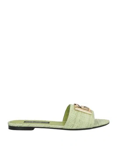 Dolce & Gabbana Logo Raffia Slides In Green