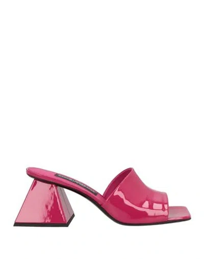 Dolce & Gabbana Woman Sandals Magenta Size 7.5 Calfskin In Pink