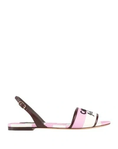 Dolce & Gabbana Woman Sandals Pink Size 8.5 Textile Fibers, Cowhide