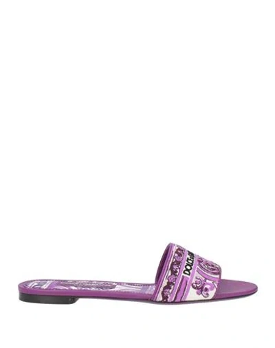 Dolce & Gabbana Woman Sandals Purple Size 7.5 Cotton, Lambskin