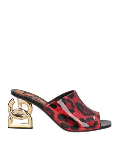 Dolce & Gabbana Woman Sandals Red Size 7 Leather