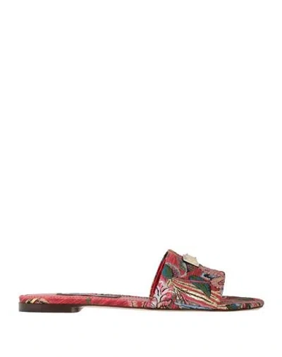 Dolce & Gabbana Woman Sandals Red Size 8.5 Textile Fibers In Multi