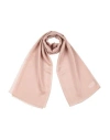 Dolce & Gabbana Woman Scarf Blush Size - Silk, Polyester In Pink