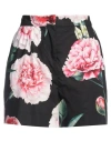 Dolce & Gabbana Woman Shorts & Bermuda Shorts Black Size 8 Cotton In Black